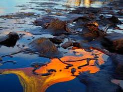 Добровольцы из Херсона спасают Анапу: студенты борются с экологической катастрофой 