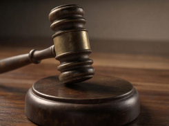 В Херсонской области мужчине грозит 10 лет тюрьмы за выращивание дурман-травы в огороде