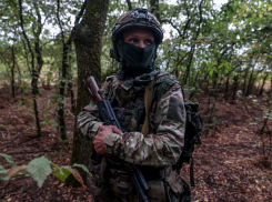 Новости СВО: заговор против Зеленского, Херсон в огневом кольце и ВС РФ разорвали полсотни боевиков ВСУ