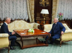  «Моя земля»: встреча Лукашенко и Сальдо вызвала истерику в Киеве