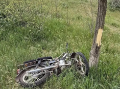 В Херсонской области мопедист врезался в дерево и погиб на месте аварии