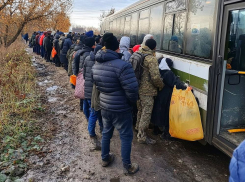 Судебные приставы выдворили 63 нелегальных мигранта из Херсонской области