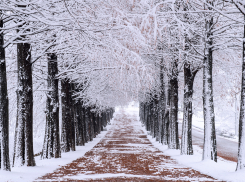 В Скадовске полным ходом идет реконструкция парка