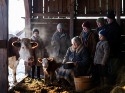 Что делать 19 февраля, чтобы сохранить удачу: народные традиции в день Вуколы Телятника