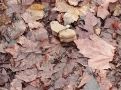 В Каховском округе дорога между Васильевкой и Софиевкой перекрыта из-за мин