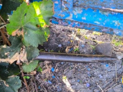 Серийного воришку консерв задержали в Новотроицком округе Херсонской области