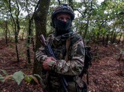 Профессор Доброхотов: для достижения целей СВО необходимо освободить Херсон