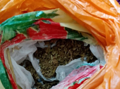 В Херсонской области полицейские поймали двух сельчан с наркотиками