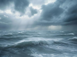 Штормовое предупреждение с ветром 25 м/с объявили в Херсонской области