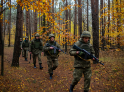 Новости СВО: открыт Киевский фронт, Запад испугался нового наступления ВС РФ и 400 убитых ВСУшников под Херсоном