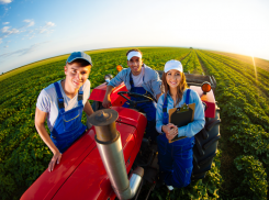 Молодёжь Херсонской области не хочет идти в сельское хозяйство