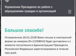 Уставшие ждать помощи от местных властей жители Скадовска пожаловались Путину