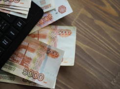 В Херсонской области предприниматель украл из бюджета 170 тысяч рублей