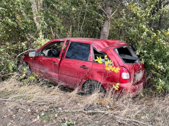 После столкновения с деревом в Скадовском округе водитель попал в больницу