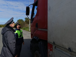 Из Херсонской области в Крым завезли более 100 кг просроченной колбасы