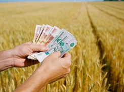 Херсонским аграриям наконец-то выплатили долги по зарплате