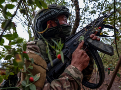 ВС РФ перемололи более 60 боевиков ВСУ под Херсоном