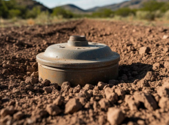 ВСУ применили натовские мины против жителей Херсонской области