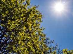 В Херсонской области 13 апреля потеплеет до +13