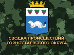 В Горностаевском округе Украина ранила 76-летнего старика