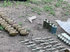 Полицейские правобережной Херсонщины задержали украинца, незаконно продававшего оружие