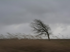 Херсонскую область вплоть до 19 февраля накроет ледяной шторм с сильным ветром 