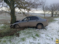 На Херсонщине иномарка врезалась в дерево, пострадали два человека