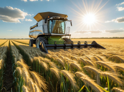  «Солярочный кризис»: херсонские фермеры могут не собрать урожай из-за цен на топливо