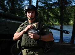 Ветеранам СВО Херсонской области день службы хотят засчитывать как три