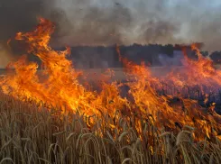 Пожарный апокалипсис в Херсонской области: власти вводят ЧС из-за катастрофического роста полевых пожаров