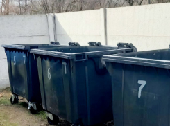 В Новокаховском округе закупили 150 новых мусорных контейнеров