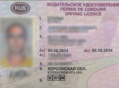 Водителя с поддельными правами поймали в Геническе
