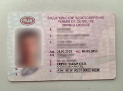 Житель Херсонщины купил права сразу на девять категорий и доехал до суда