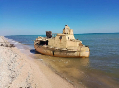 Сальдо: 9 членов экипажа затонувшего сухогруза нашли на берегу Азовского моря