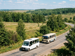 В Геническом и Новотроицком округах возобновляют работу автобусные маршруты