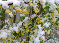 В Херсонской области впервые за 70 лет обновлён температурный рекорд