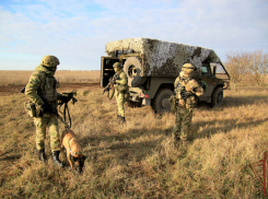 Две тротиловые шашки нашли на дороге в Херсонской области