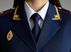 В Херсонской области бизнесмена поймали на мошенничестве с субсидиями