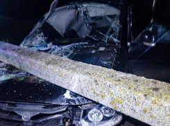 В Херсонской области пассажир авто погиб из-за столкновения с опорой ЛЭП