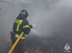 В Херсонской области чрезвычайная пожароопасность объявлена в 11 округах