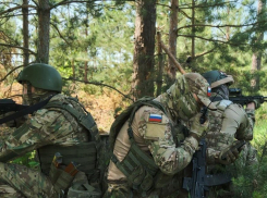 Херсонские бойцы раскрошили 75 бойцов ВСУ и склады с горючим