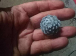 В Херсонской области ВСУ начали применять новые западные мины «шишки»