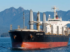 Украина потребовала от Израиля арестовать судно с «зерном из Херсонщины»