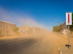 Аномальная жара до +40 градусов ожидается в Херсонской области 8–10 июля