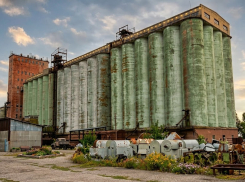Путин забрал у Нидерландов «Каланчакский комбинат хлебопродуктов» и передал Херсонской области