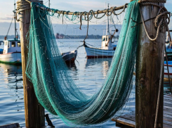 Херсон защитят от дронов при помощи старых французских рыболовных сетей