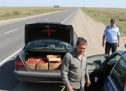 Тысячей рублей за перевозку клубники хотел откупиться житель ДНР от ГАИ в Херсонщине