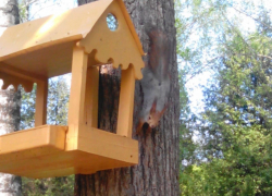 Три округа Херсонской области ждёт масштабное строительство объектов инфраструктуры, или не всё так однозначно?