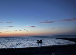 На Херсонщине поймали 690 тонн рыбы и креветок за 2025 год