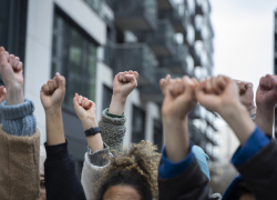 Новости Херсона: митинг против подземных школ, восемь лет за убийство и укус бешеной лисицы